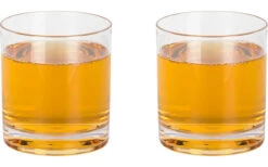 Berger Plastic Drinking Glasses Set Of 2