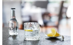 Berger Tumbler Drinking Gas Set Of 2