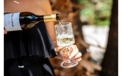 Berger Wine Glass Set Of 2 -Outdoor Camping Shop 594239 4331207