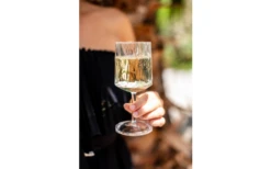 Berger Wine Glass Set Of 2 -Outdoor Camping Shop 690069 4697631